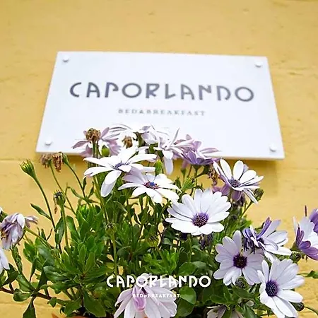 Caporlando Bed & Breakfast Castellaneta