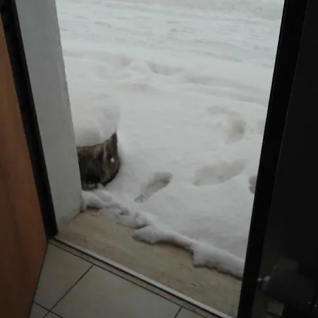 Caporlando לינה וארוחת בוקר